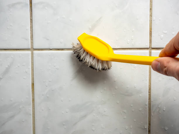 Best Mold Removal Process  in Twin Lakes, CA