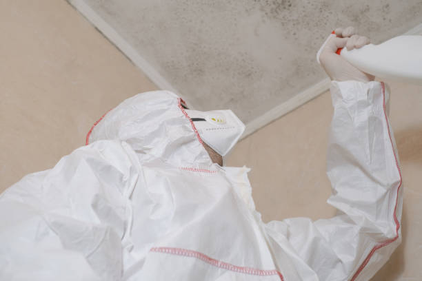 Best Best Mold Removal Companies  in Twin Lakes, CA