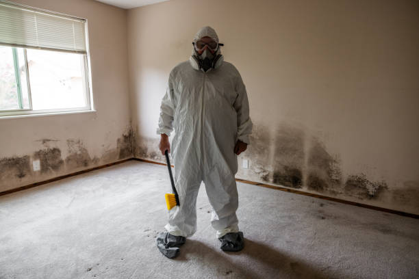 Best Mold Damage Repair  in Twin Lakes, CA